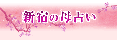 Vh̕肢